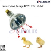 5328-infracrvena-zarulja-infraclear-r125-250w-e27/zarulja-ifracrvena-bistra-r125-e27-250w-795734-clim-003